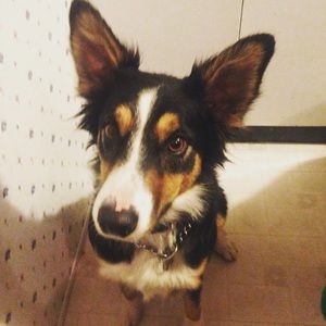 Meet your Posher, Allena